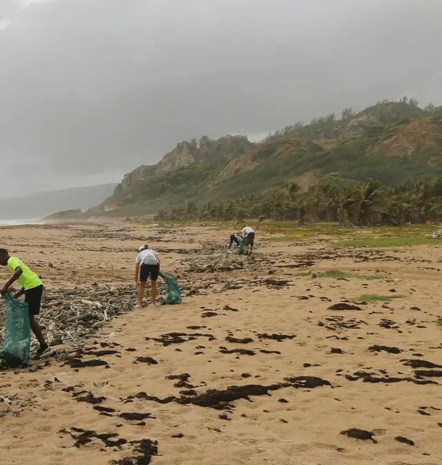 Volunteers collecting plastic and debris at a beach clean-up in Barbados