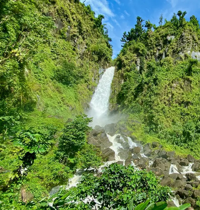 Twin waterfalls cascading through lush green rainforest cliffs in Dominica