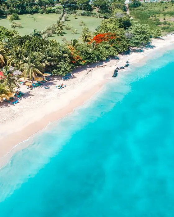 Aerial view of a palm-fringed beach beside turquoise water in Grenada