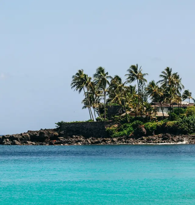 A sailboat at anchor in calm turquoise water off a palm-covered point
